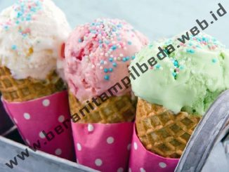 Membuat Eskrim Rasa Unik yang Layak Untuk Dicoba